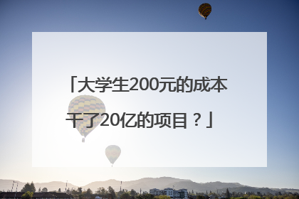 大学生200元的成本干了20亿的项目？